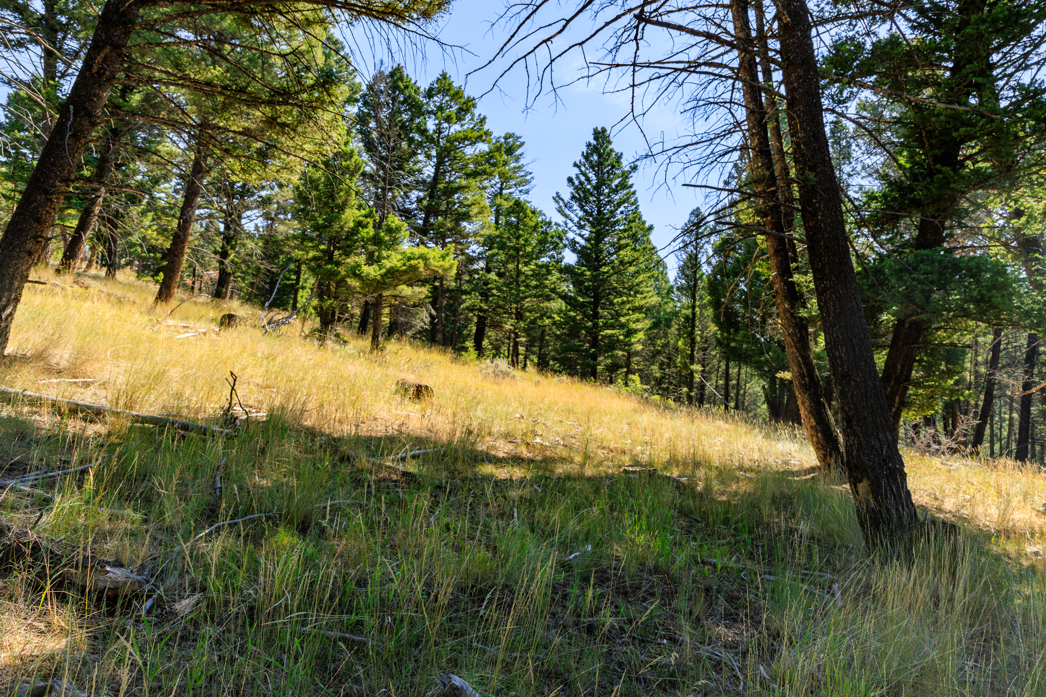 Jefferson, MT Norwood-04