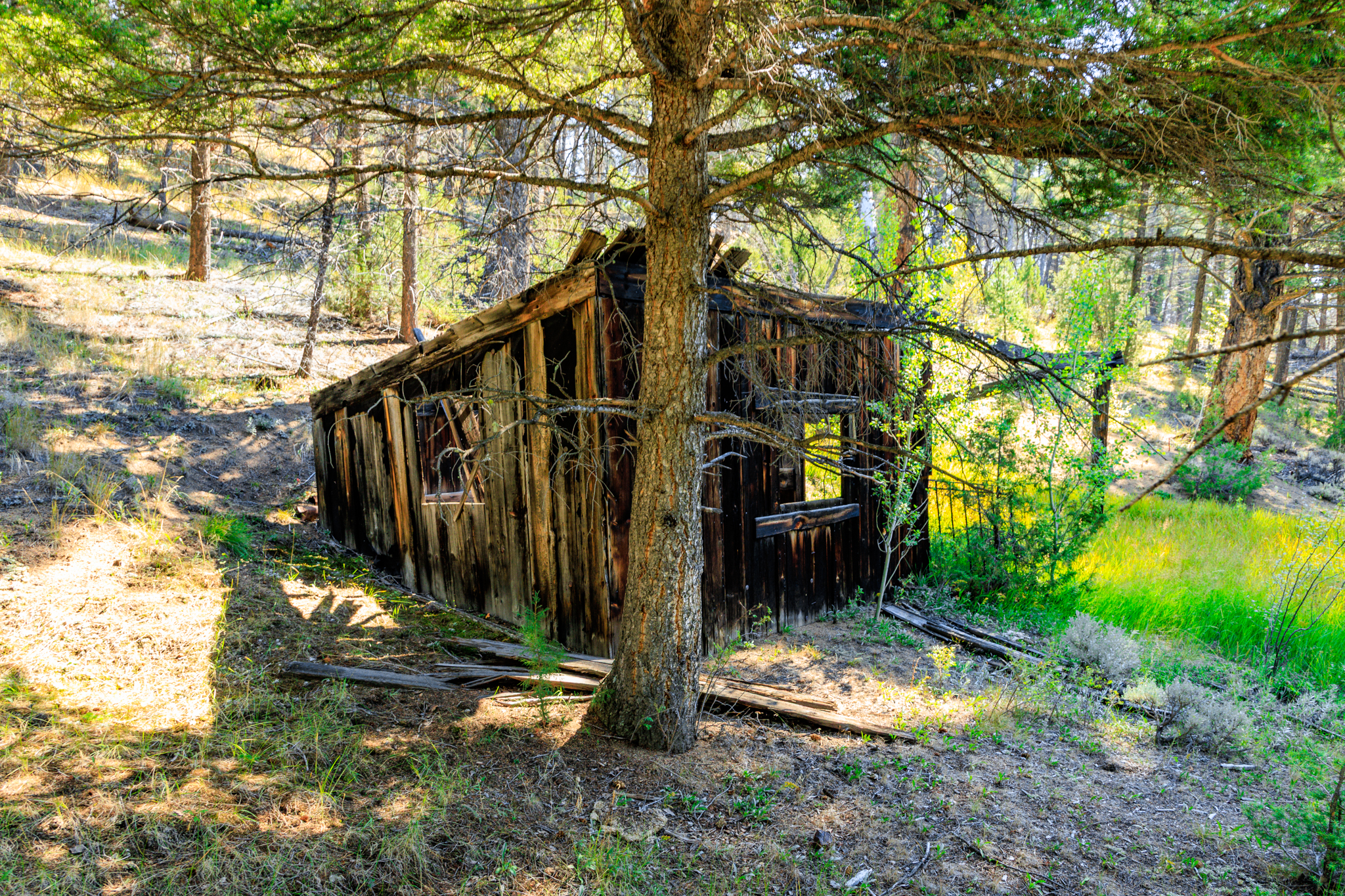 Jefferson, MT Norwood-11