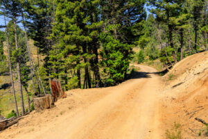 Jefferson, MT Norwood-19