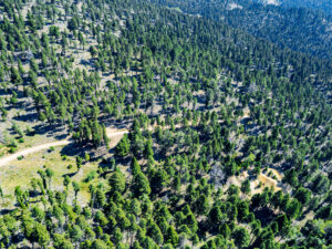 Jefferson, MT Norwood Drone-01