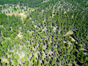 Jefferson, MT Norwood Drone-02