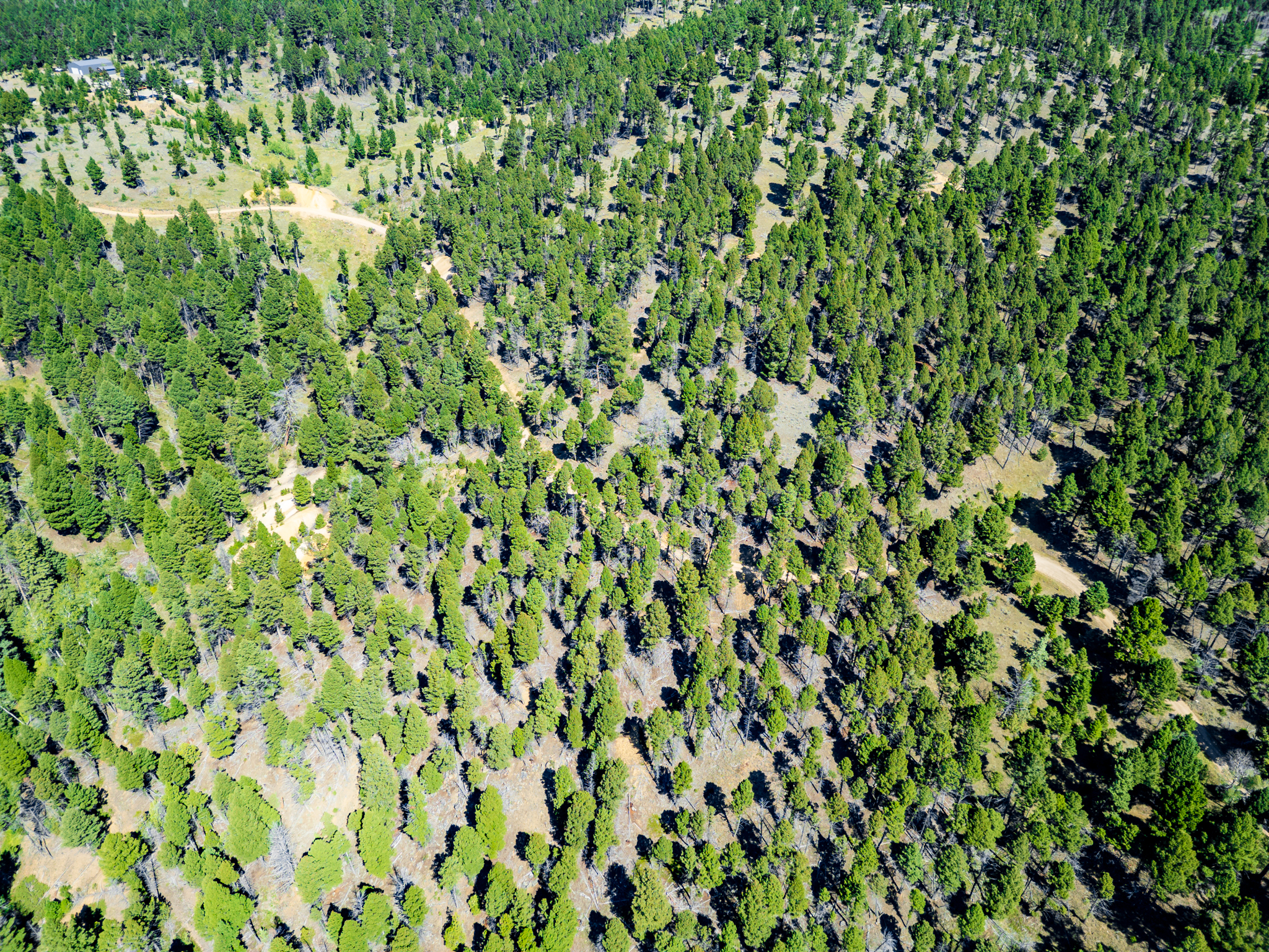 Jefferson, MT Norwood Drone-02