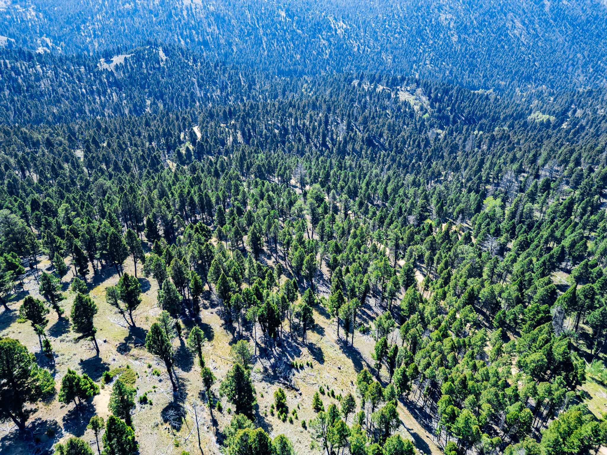 Jefferson, MT Norwood Drone-04