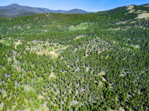 Jefferson, MT Norwood Drone-07