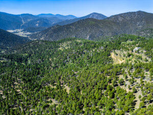 Jefferson, MT Norwood Drone-08