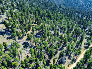 Jefferson, MT Norwood Drone-10