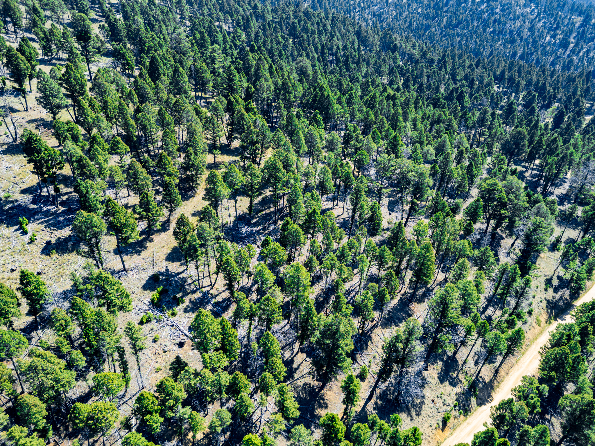 Jefferson, MT Norwood Drone-10