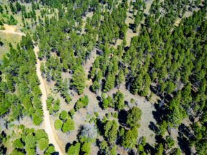 Jefferson, MT Norwood Drone-11