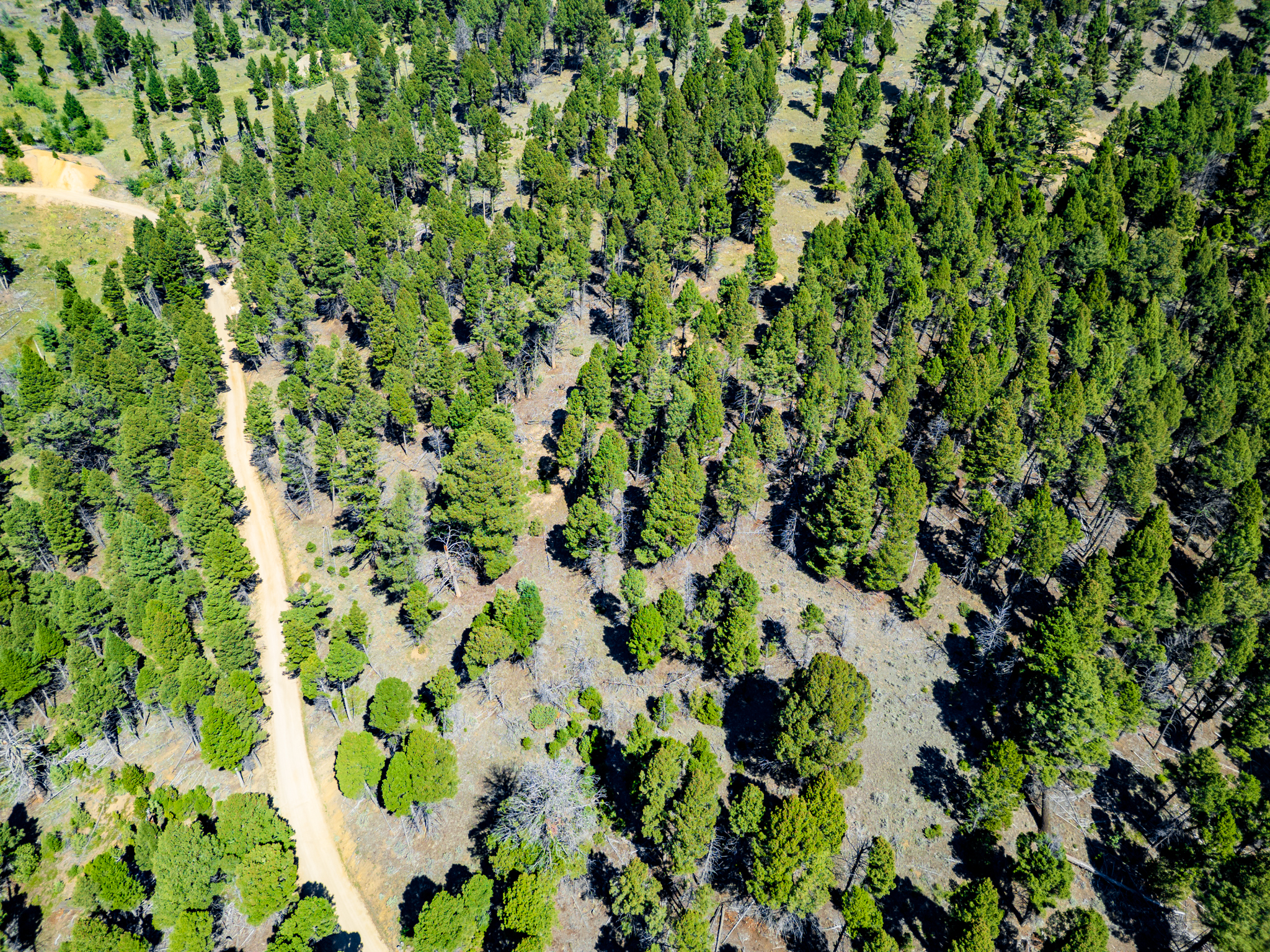 Jefferson, MT Norwood Drone-11
