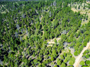 Jefferson, MT Norwood Drone-12