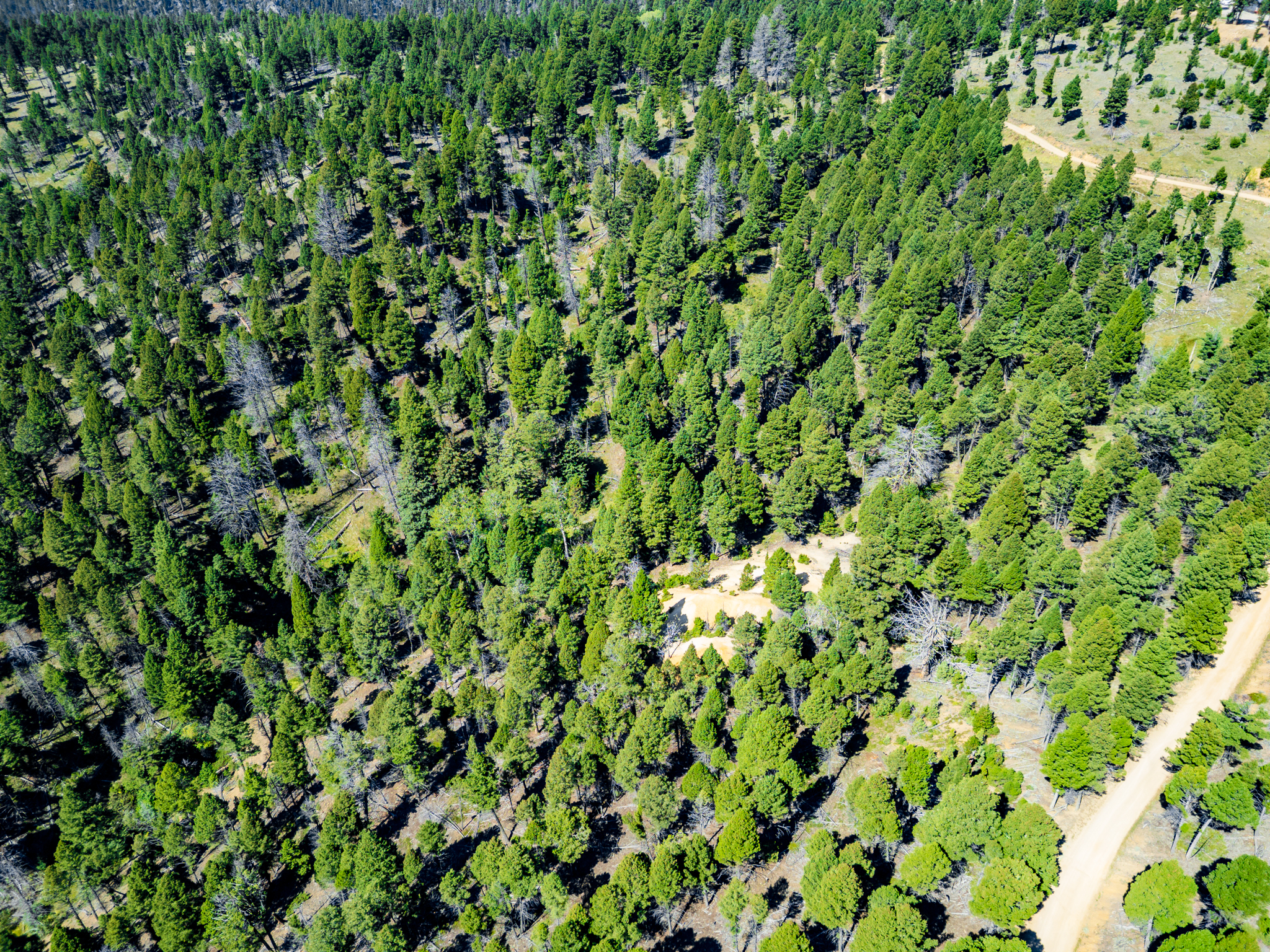 Jefferson, MT Norwood Drone-12
