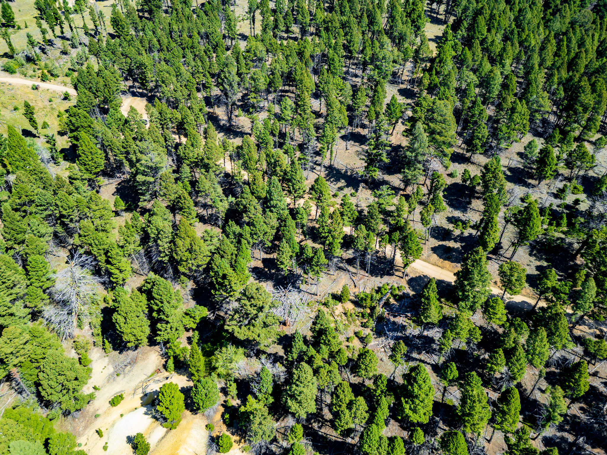 Jefferson, MT Norwood Drone-13