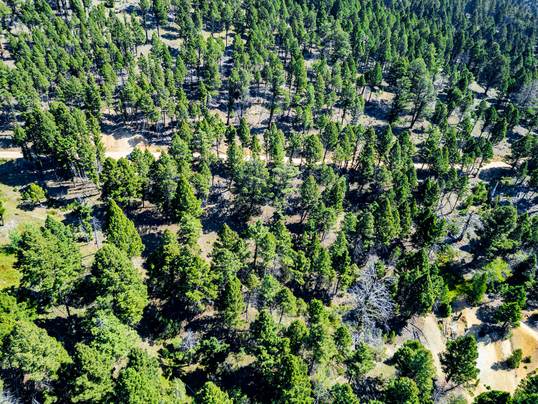 Jefferson, MT Norwood Drone-14