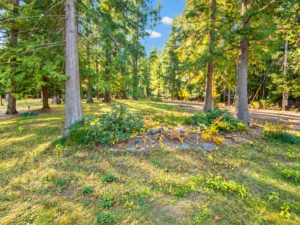 Sunlit lawn, shrubs and mature evergreen trees on the Angel Island lot near Bull Lake, Montana