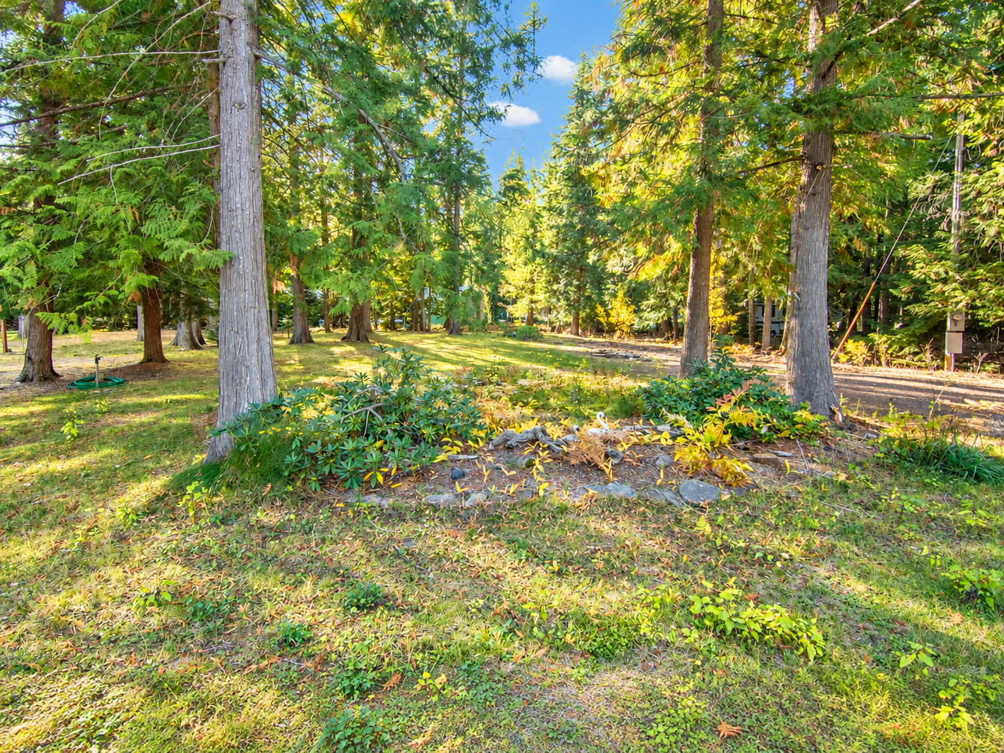 Sunlit lawn, shrubs and mature evergreen trees on the Angel Island lot near Bull Lake, Montana