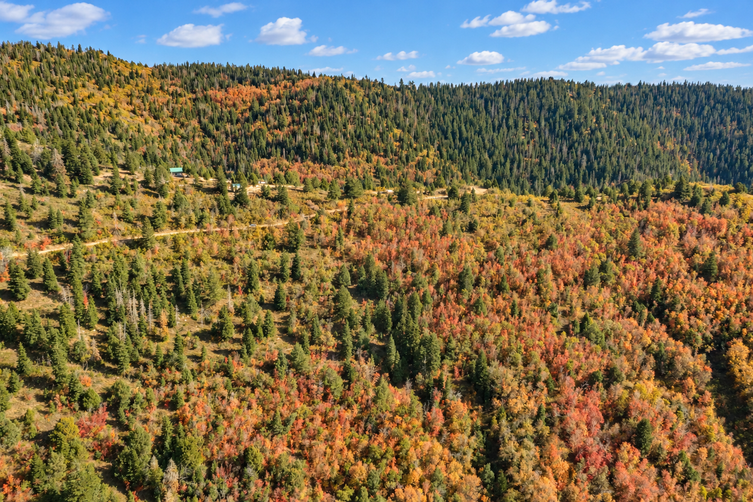 High aerial view of a forested valley with autumn aspens and a dirt track across the slope