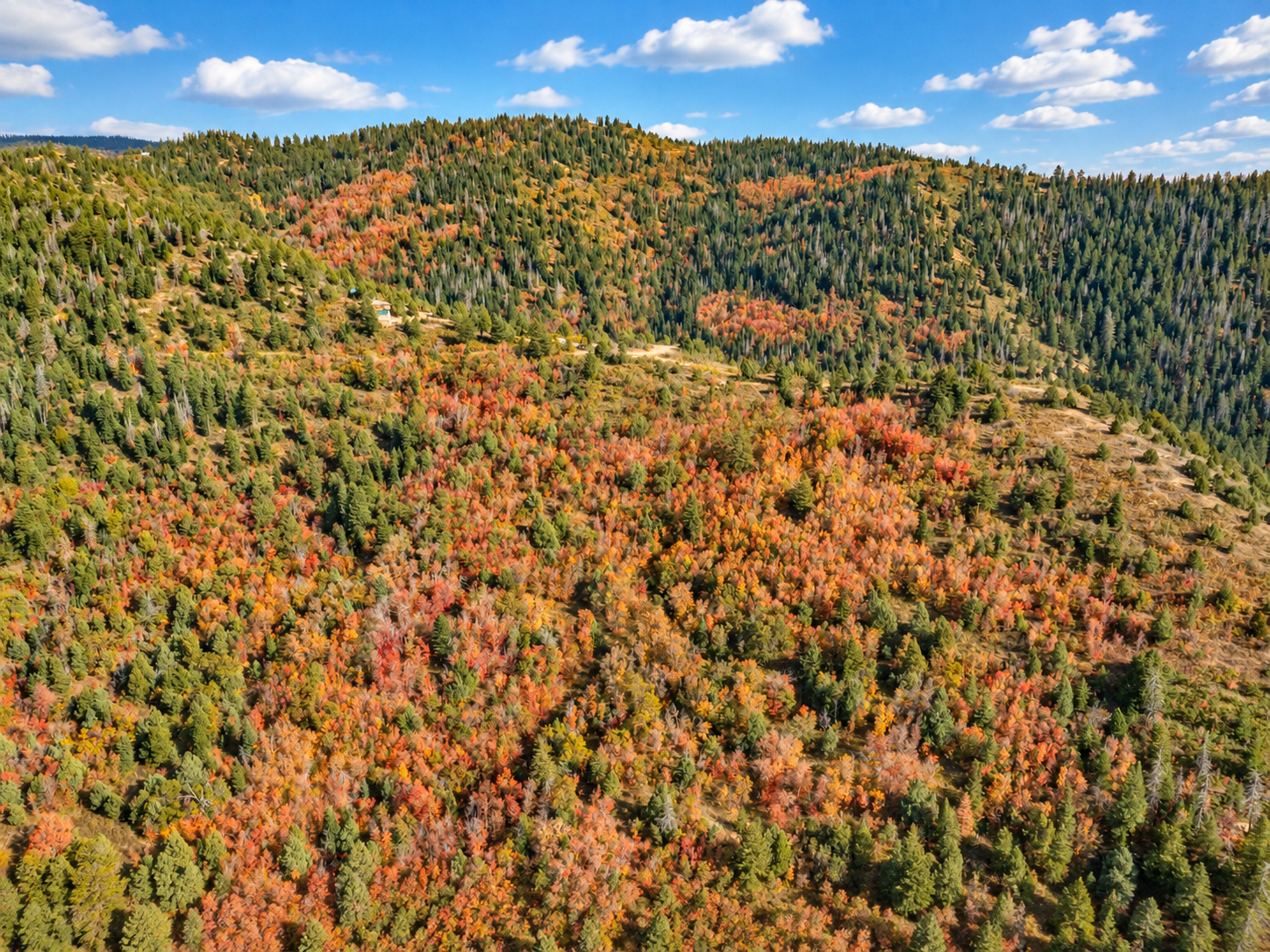 Wide aerial view of colorful aspens and evergreens covering hillsides near the 5-acre Utah parcel