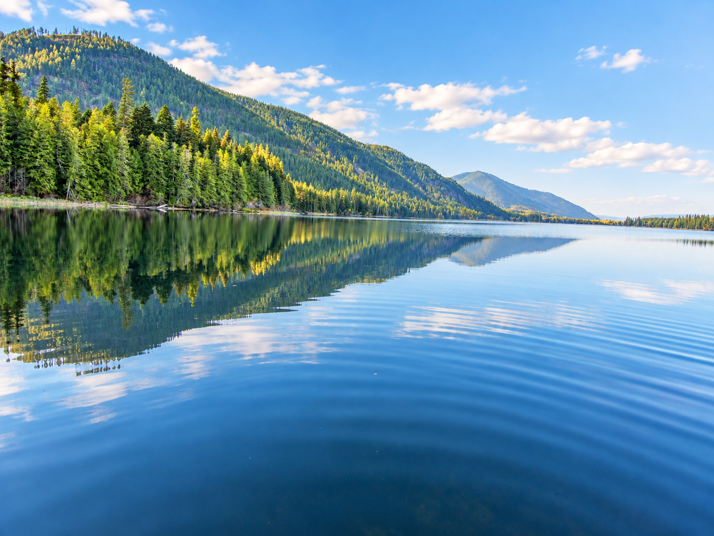 Forest-lined Bull Lake shoreline with distant mountain peaks reflected in blue water