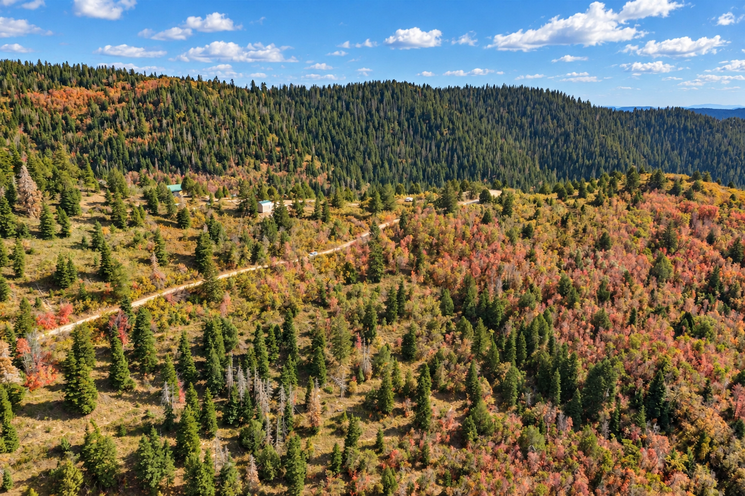 Drone panorama of a forested ridge, fall colors, a narrow dirt road and nearby cabins in Kane County, Utah