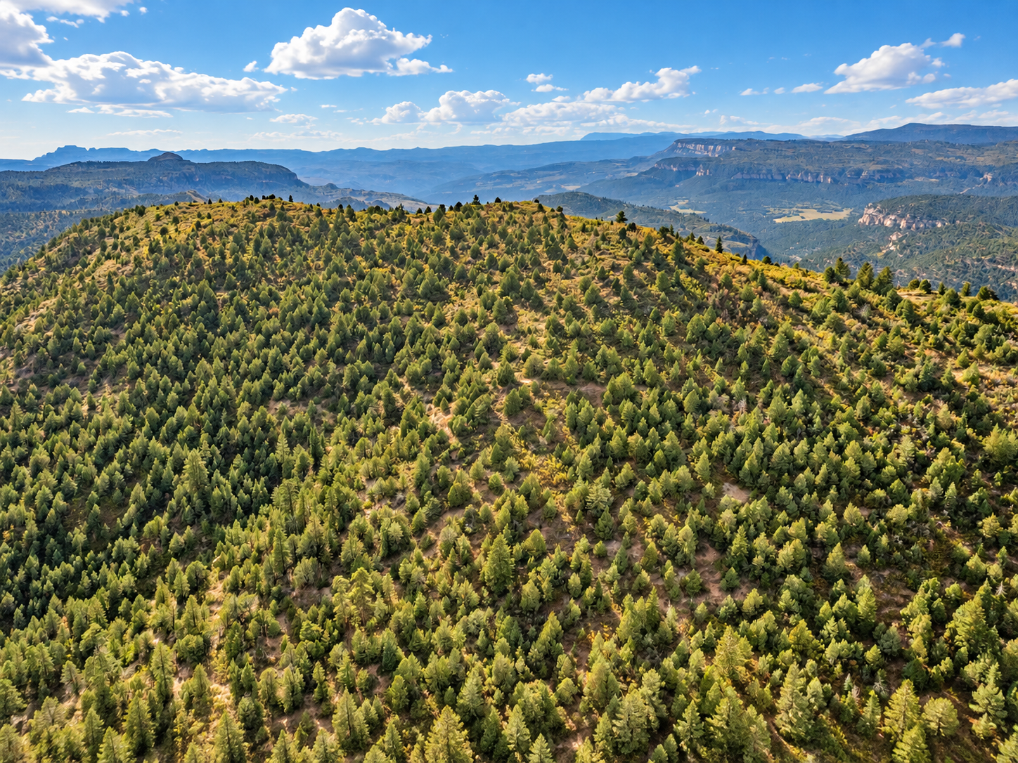 Green wooded ridge with mesas and deep valleys in the distance near Zion and Bryce Canyon, Utah