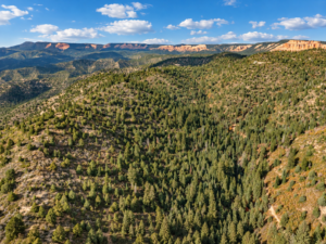 Panorama of orange cliffs beyond steep, tree-covered ridges under a partly cloudy sky in southern Utah