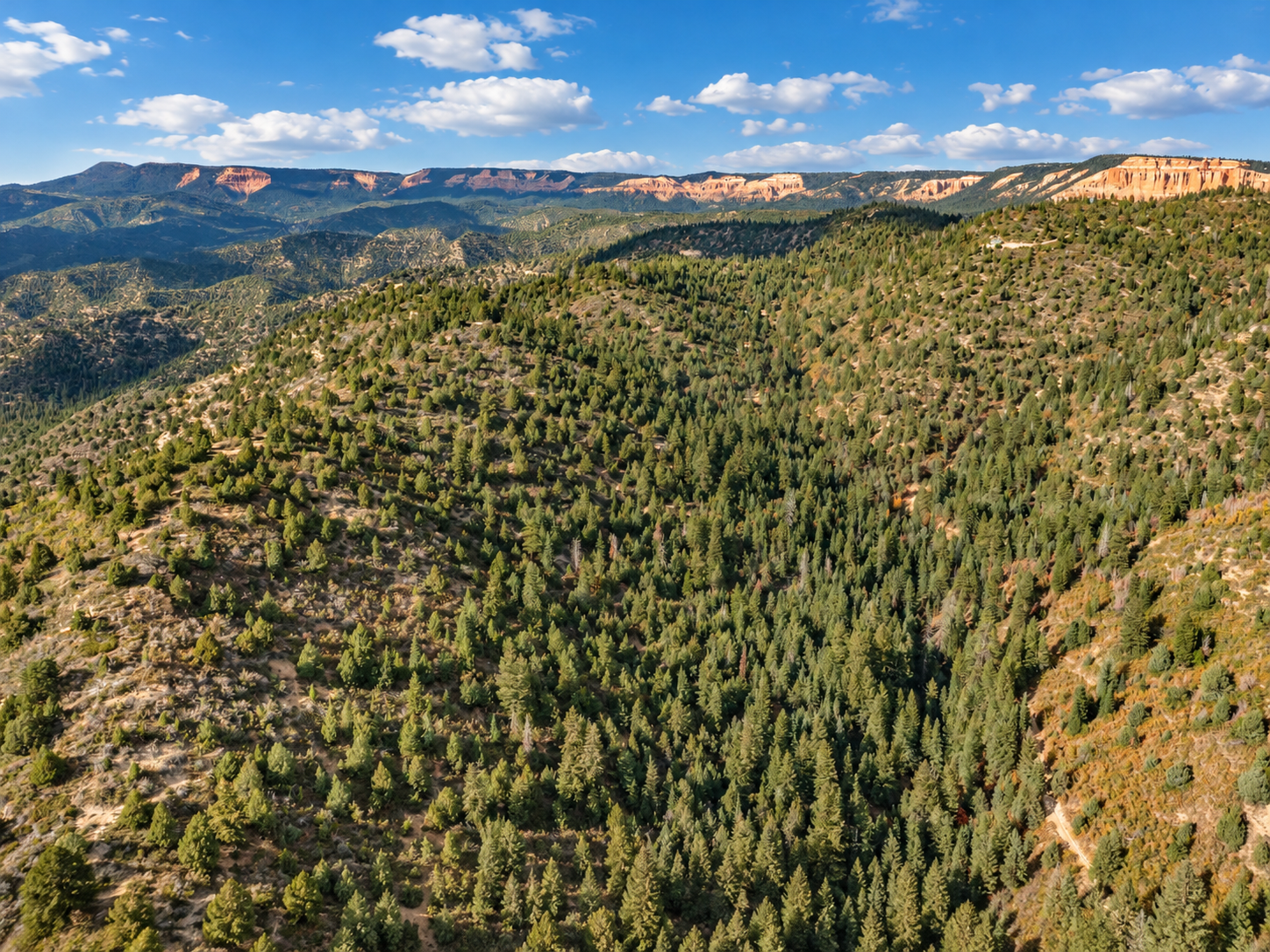 Panorama of orange cliffs beyond steep, tree-covered ridges under a partly cloudy sky in southern Utah