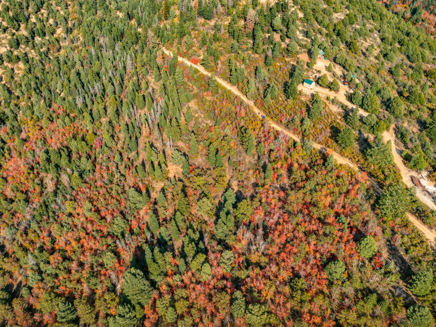 Overhead view of a dirt road winding past cabins and colorful woodland in Kane County, Utah