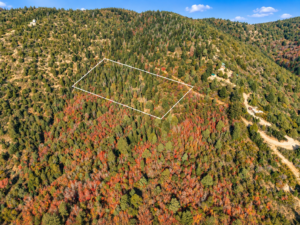 Drone image with a white outline marking the 5-acre wooded lot on a mountainside in Kane County, Utah