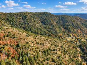 Drone view across pine-covered mountain slopes with distant blue ridges and scattered fall color