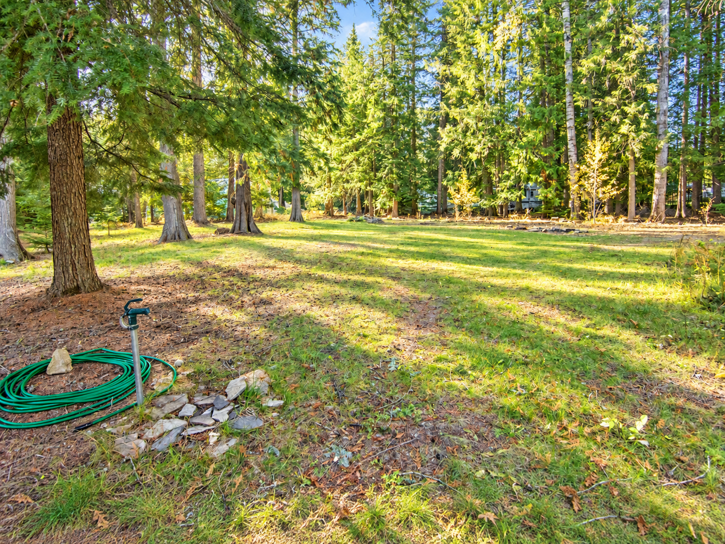 Open grassy lot with water fixture, green hose and tall evergreen trees near Bull Lake, Montana