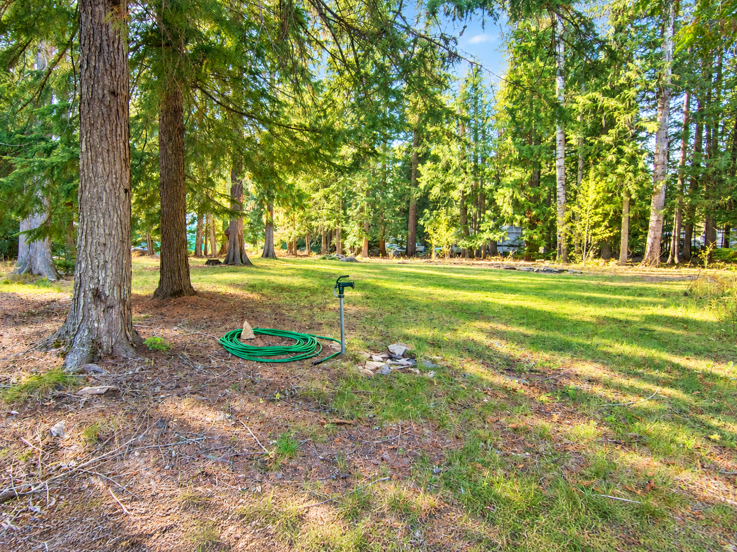 Water fixture and green hose on open grass framed by tall evergreens on the 0.26-acre lot