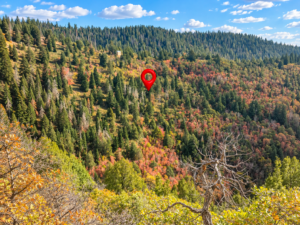 Forested valley and ridgeline with a location marker identifying the 5-acre Utah parcel area