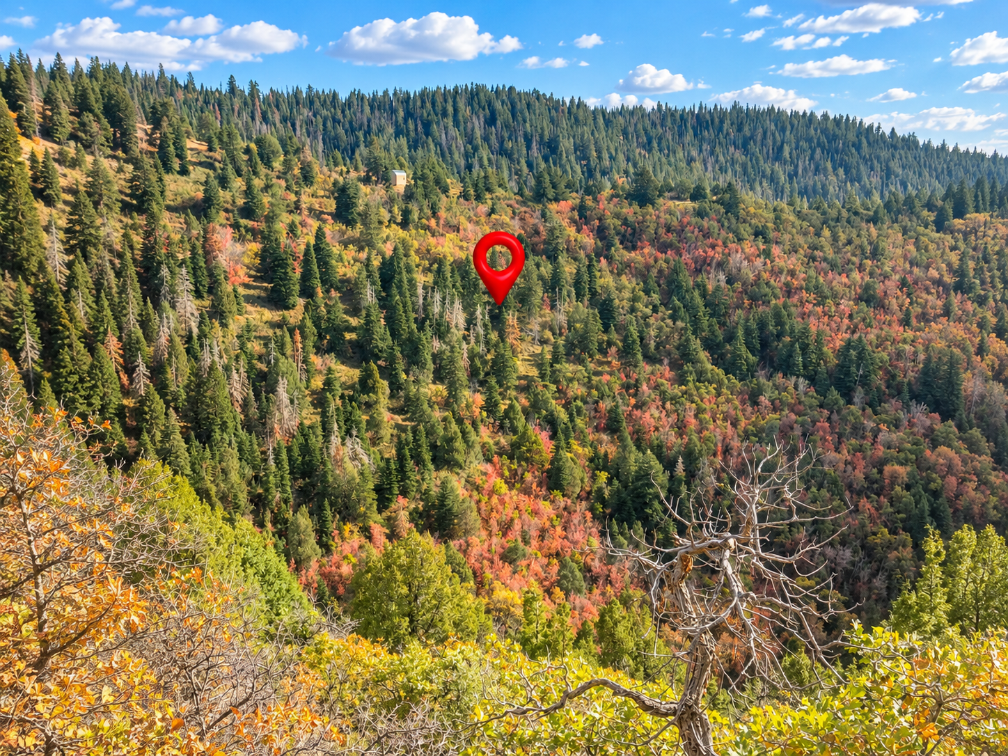 Forested valley and ridgeline with a location marker identifying the 5-acre Utah parcel area