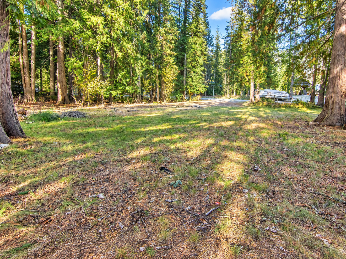 Cleared grassy cabin lot bordered by tall evergreen trees on Angel Island near Troy, Montana