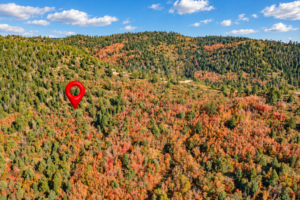 Red pin marking the 5-acre property in the wooded mountains of Kane County, Utah