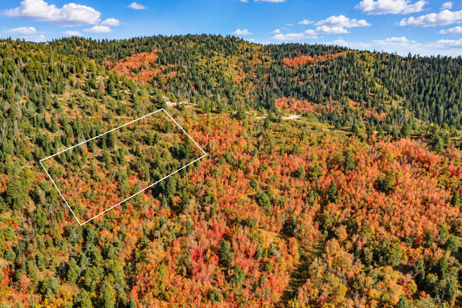 Aerial view of the outlined 5-acre parcel in Kane County, Utah, with aspens and evergreens