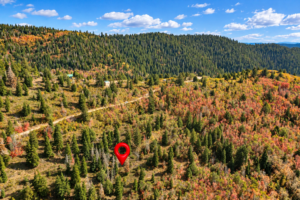 Location pin marking 5 acres of forest land among conifers and aspens in Kane County, Utah
