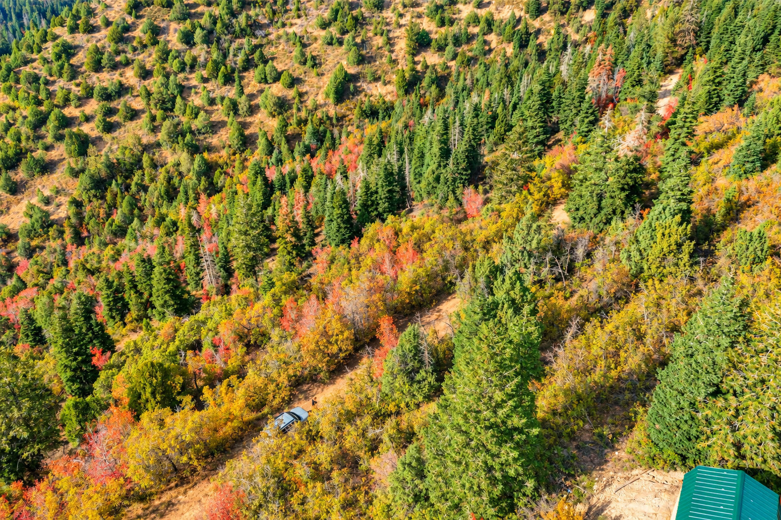 Drone view of a winding dirt road through colorful forest with a vehicle, Kane County, Utah