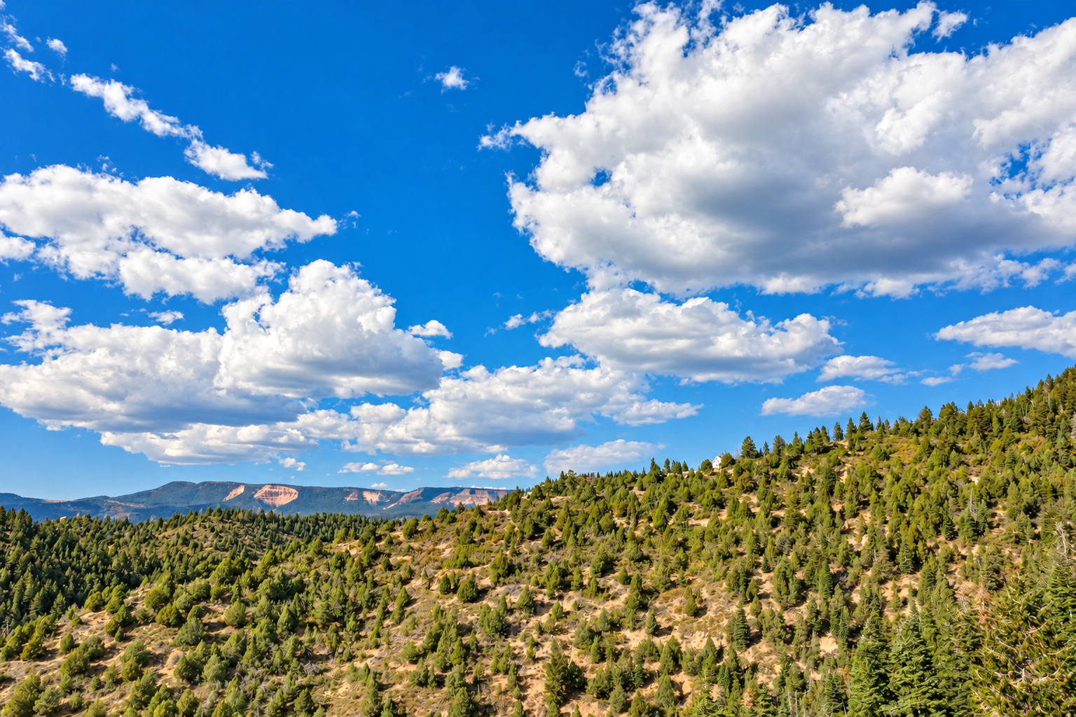 Distant mesas and wooded ridges under a deep blue sky with white clouds near Zion and Bryce Canyon