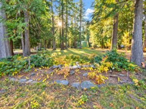 Wooded clearing with landscaping rocks, low plants and evergreens on Angel Island near Bull Lake