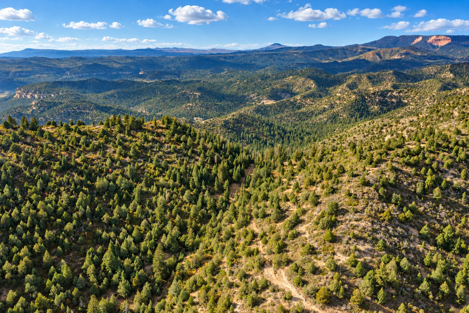 Aerial view of layered hills and valleys with distant red cliffs above a wooded landscape in southern Utah