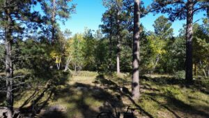 DJI_0581