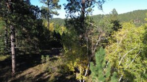 DJI_0594