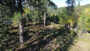 DJI_0600