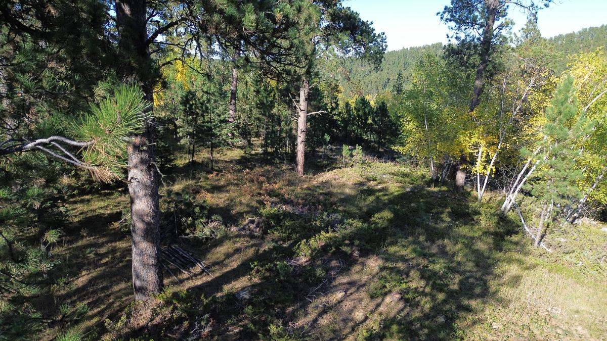 DJI_0600